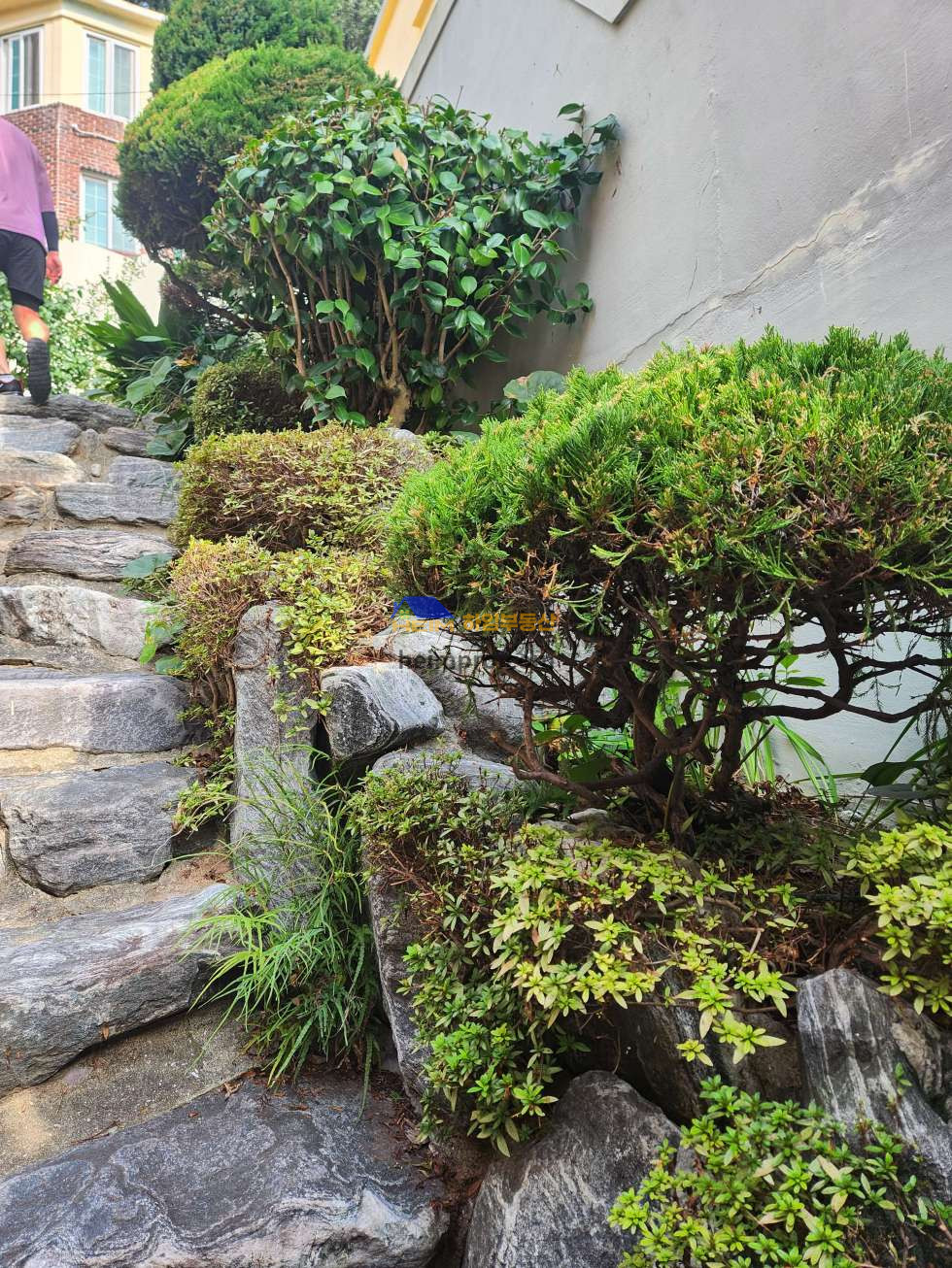 부산 부산진구 초읍동 정원 및 수목이 있는 다가구 주택, 뷰좋은 3층 주택. 매매 매물번호 10872 사진 2